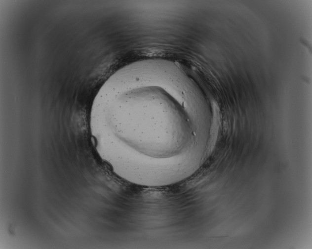 X0000091680620200709201240