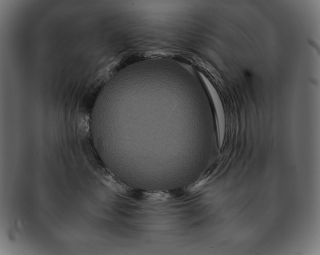 X0000091680621200709201240