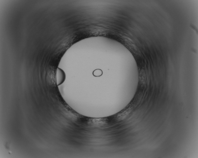 X0000091680622200709201240