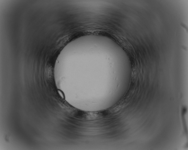 X0000091680623200709201240