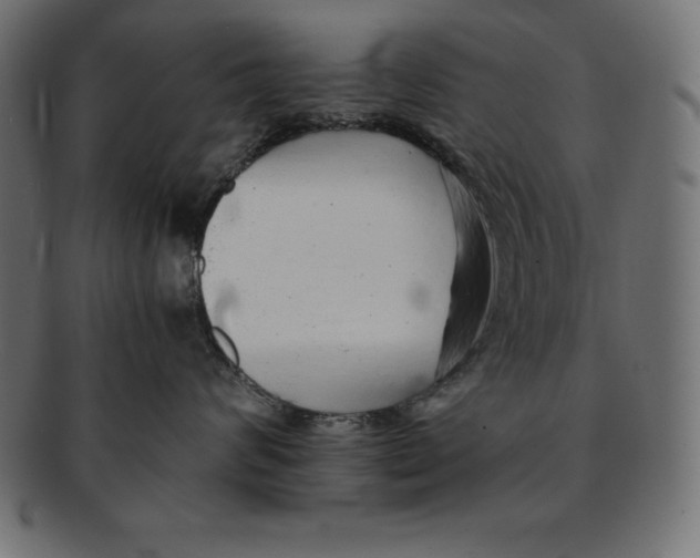 X0000091680624200709201240