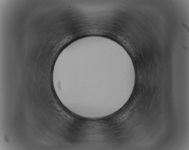 X0000091680625200709201239