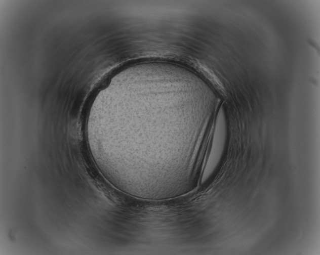 X0000091680628200709201239