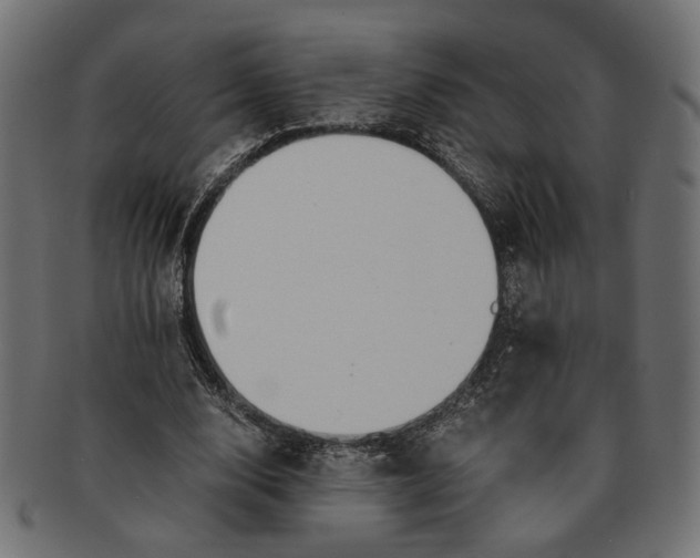 X0000091680632200709201239