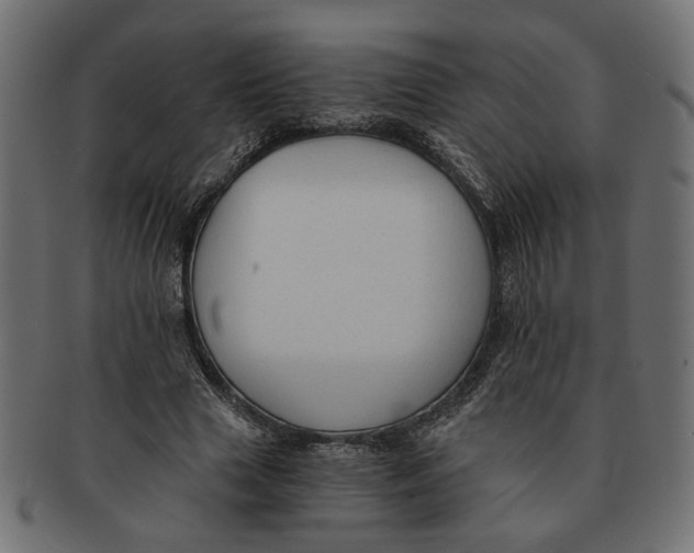 X0000091680633200709201239