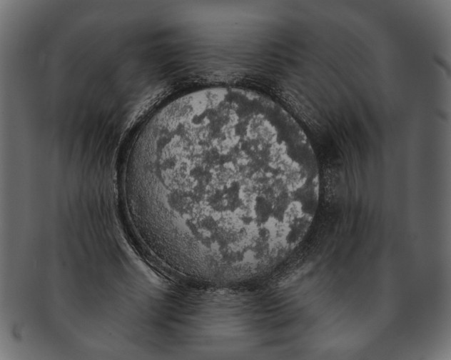 X0000091680634200709201239