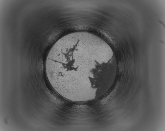 X0000091680637200709201239