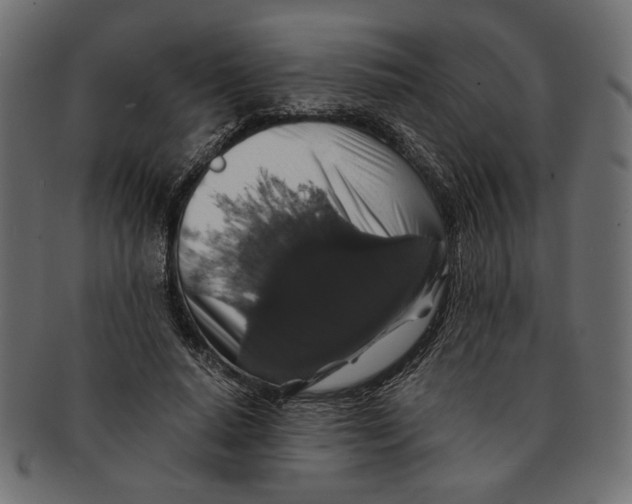 X0000091680640200709201239