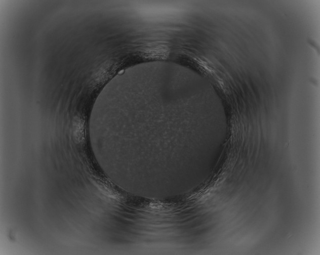 X0000091680641200709201239