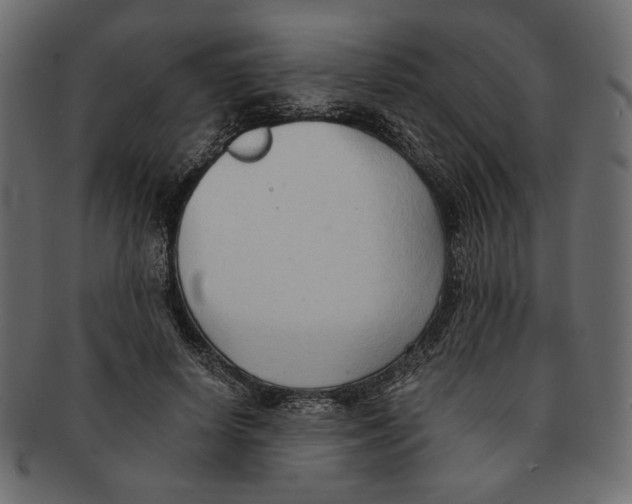 X0000091680642200709201239