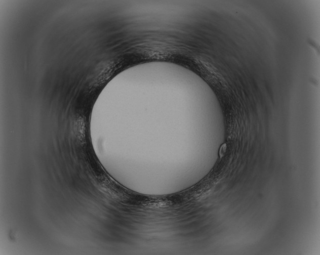 X0000091680646200709201239