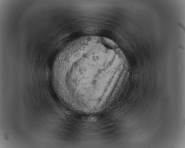 X0000091680647200709201239