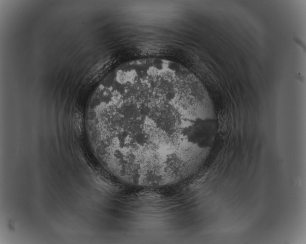 X0000091680648200709201239