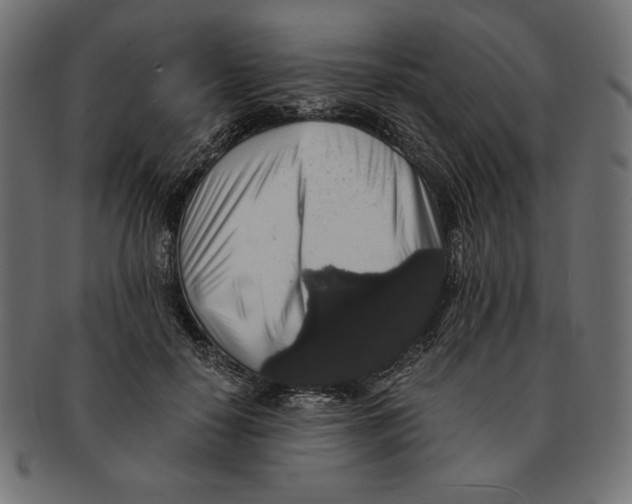 X0000091680650200709201239