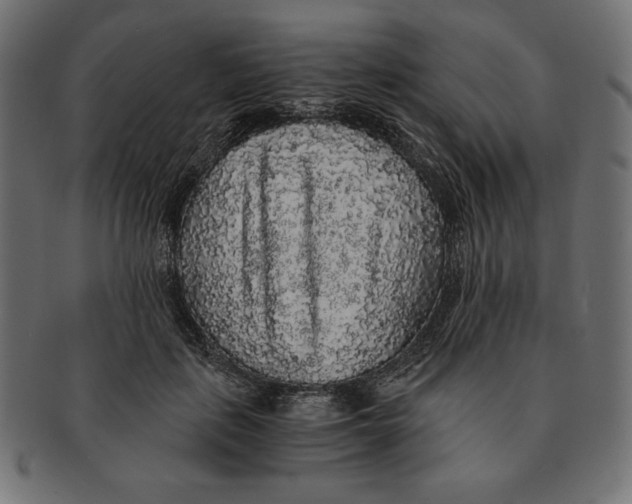 X0000091680651200709201239