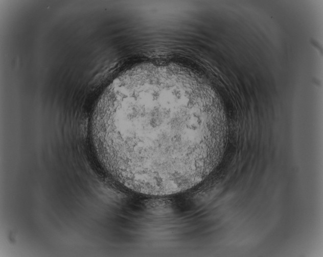 X0000091680652200709201239