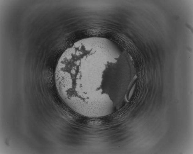 X0000091680653200709201239