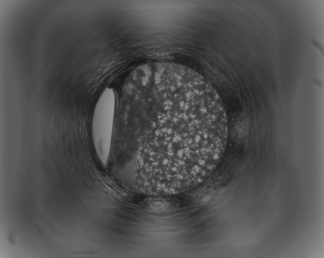 X0000091680658200709201240