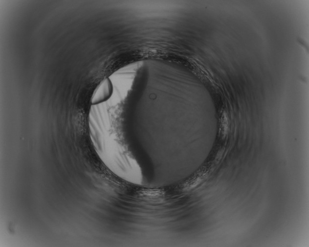 X0000091680659200709201240