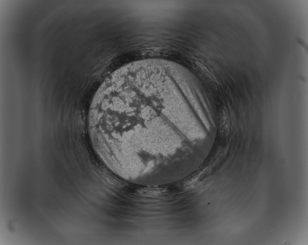 X0000091680661200709201240