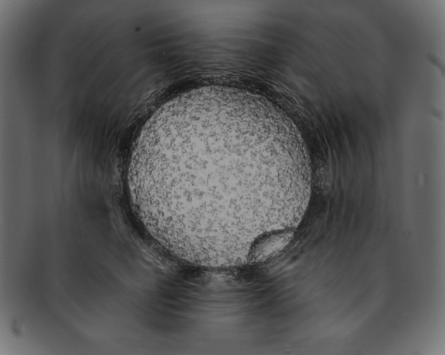 X0000091680662200709201240