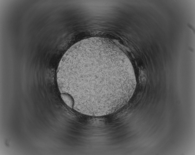 X0000091680664200709201240