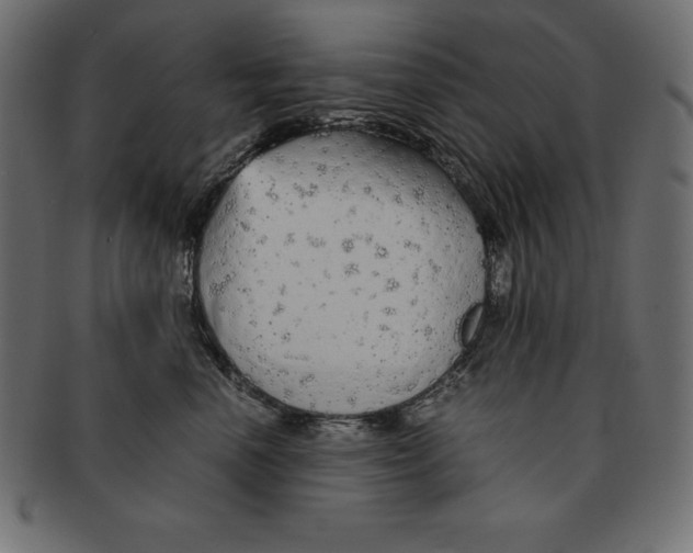 X0000091680666200709201240