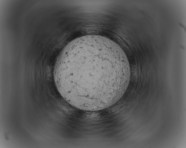 X0000091680667200709201240