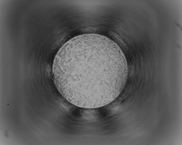 X0000091680669200709201240