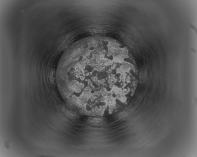 X0000091680671200709201240