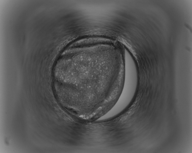 X0000091680673200709201239