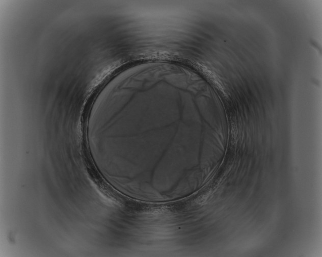 X0000091680674200709201239