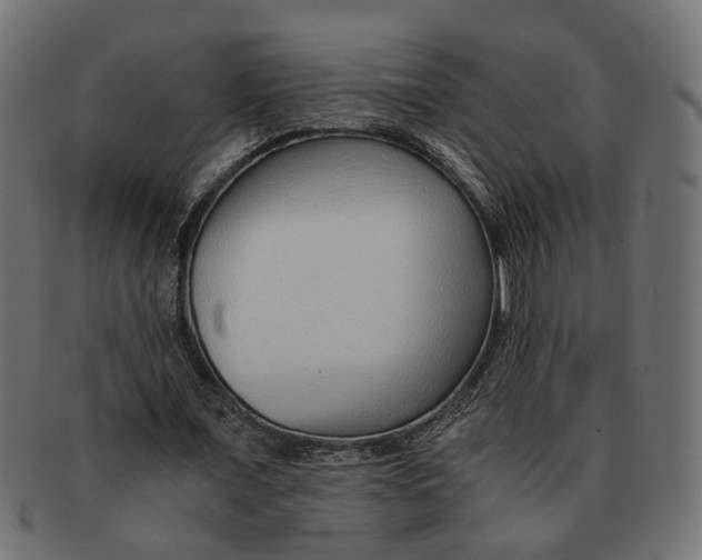 X0000091680675200709201239