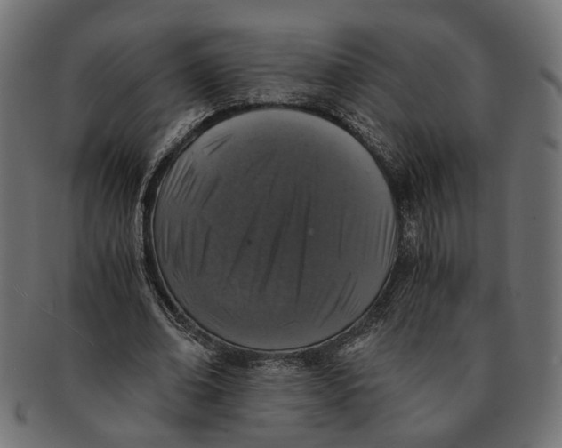 X0000091680678200709201239