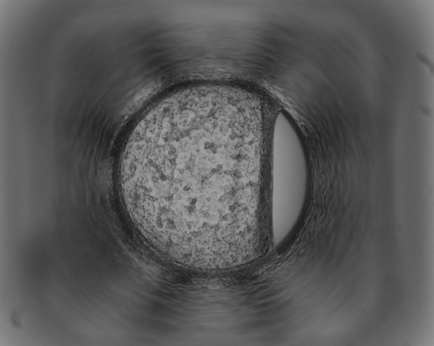 X0000091680679200709201239