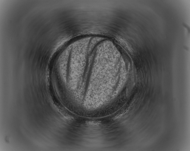 X0000091680680200709201239