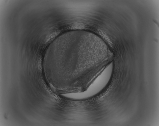 X0000091680681200709201239