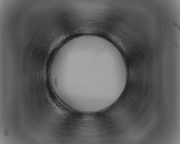 X0000091680682200709201239