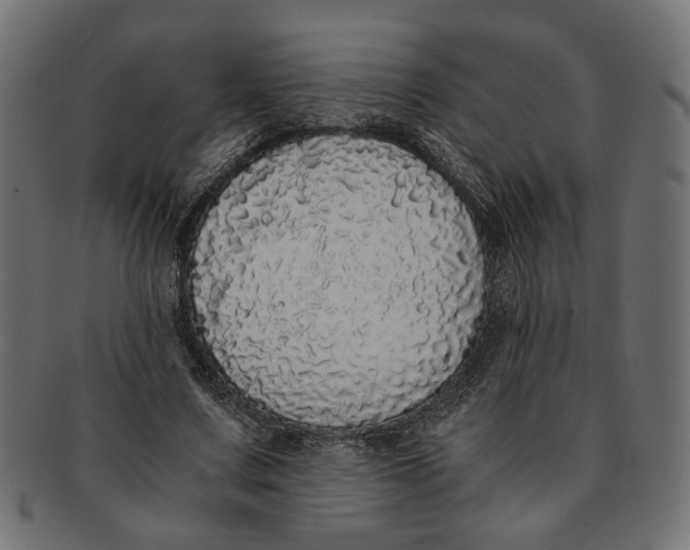 X0000091680683200709201239