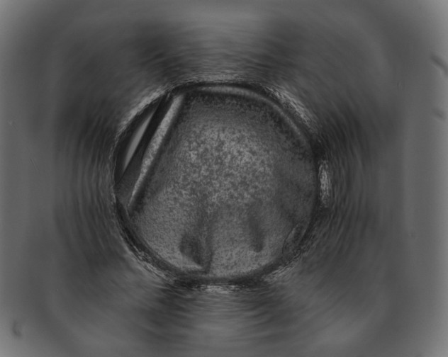 X0000091680684200709201239