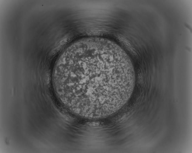 X0000091680687200709201239