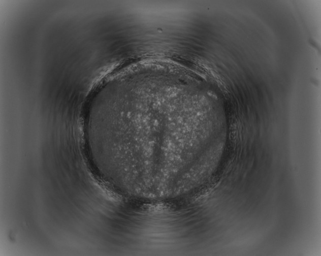 X0000091680688200709201239