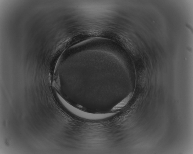 X0000091680689200709201239