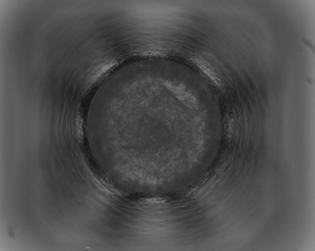 X0000091680692200709201239