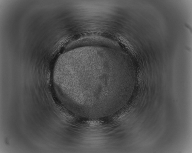 X0000091680693200709201239