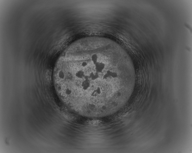 X0000091680695200709201239