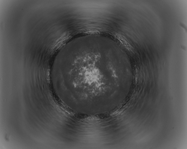 X0000091680696200709201239