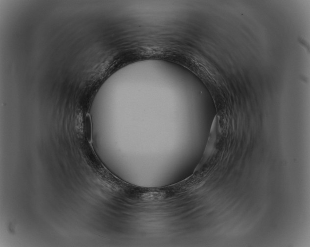 X0000091680700200709201239