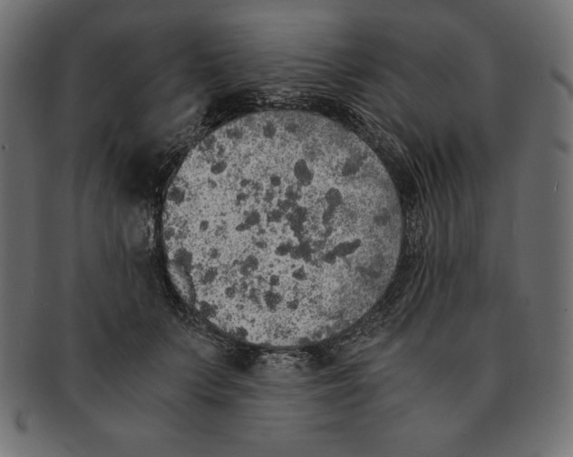 X0000091680703200709201239