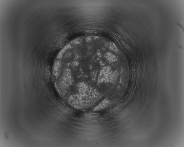 X0000091680707200709201239